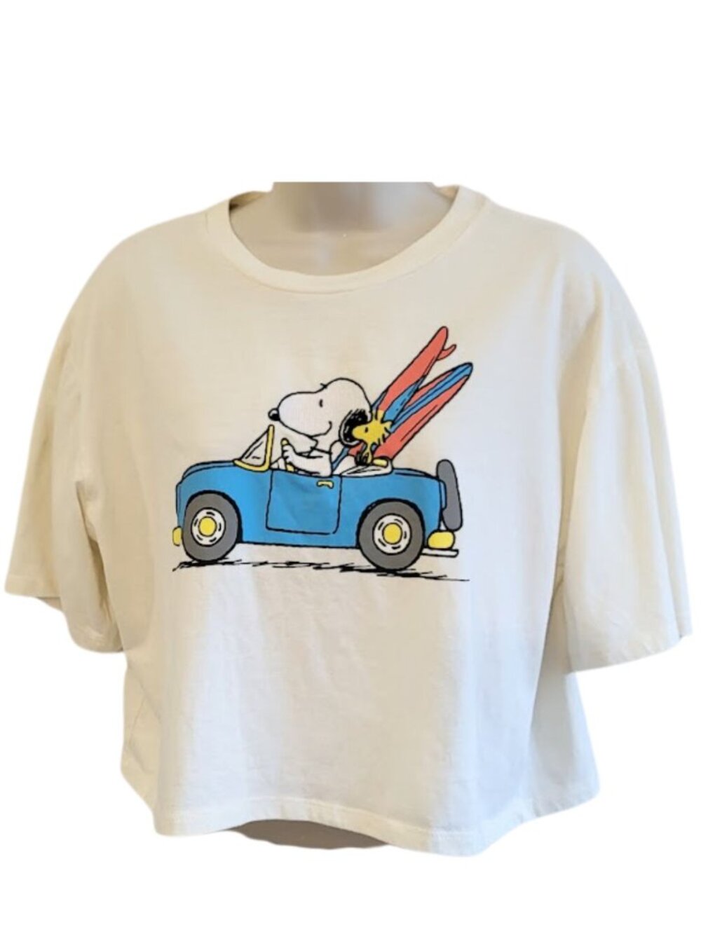 PEANUTS Embroidered Snoopy & Woodstock Cropped Surf Graphic T-Shirt - Women's M